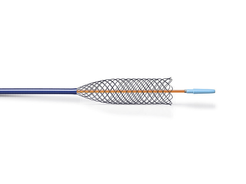 Self-expanding stent Jaguar with delivery system
