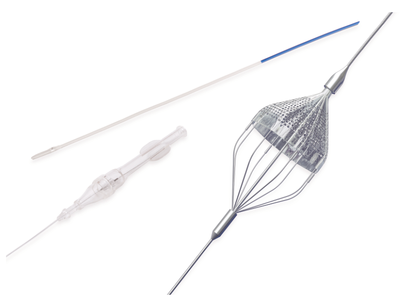 Neuroprotection system Robin Rapid Exchange (RX)